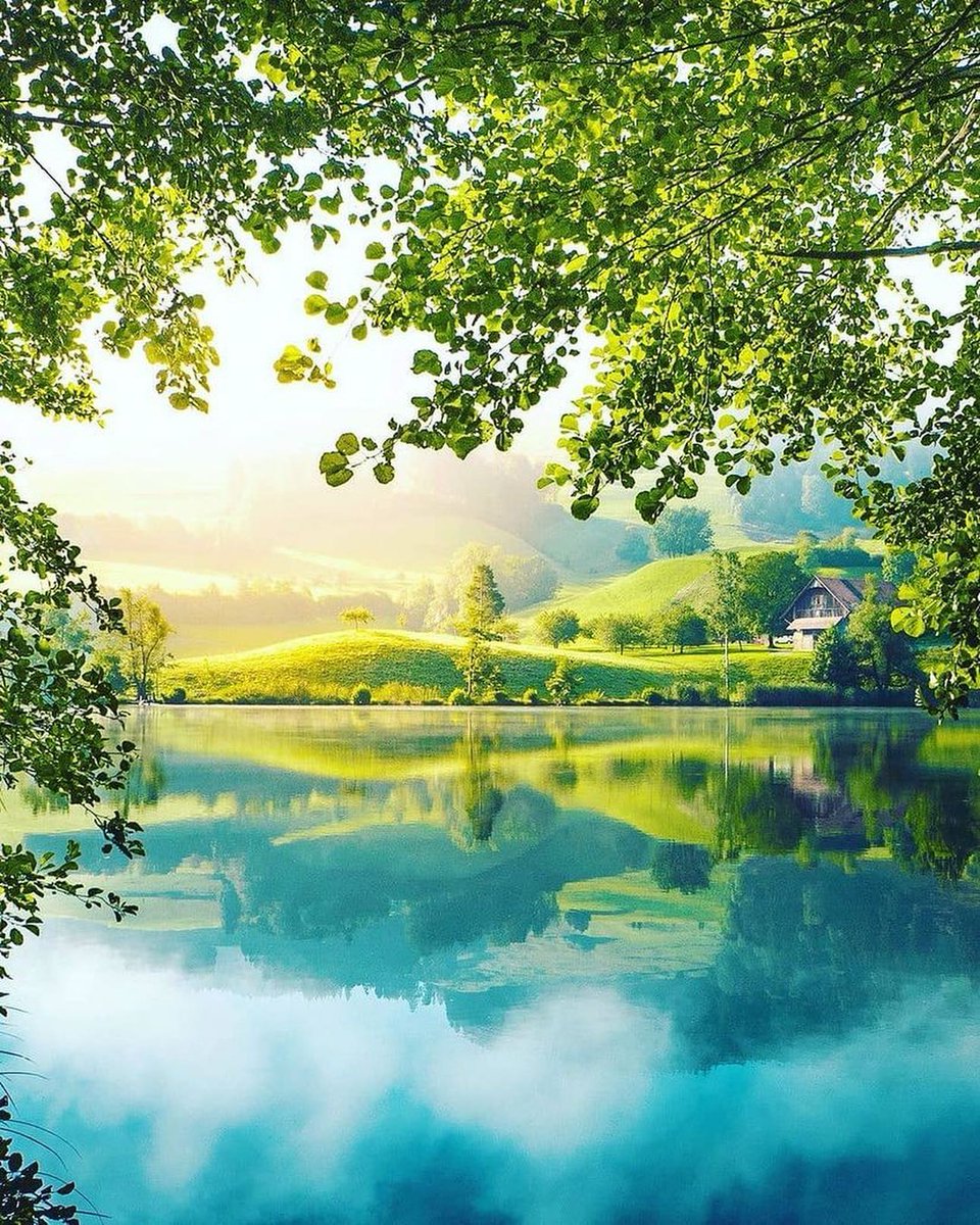 I love you Switzerland 🇨🇭