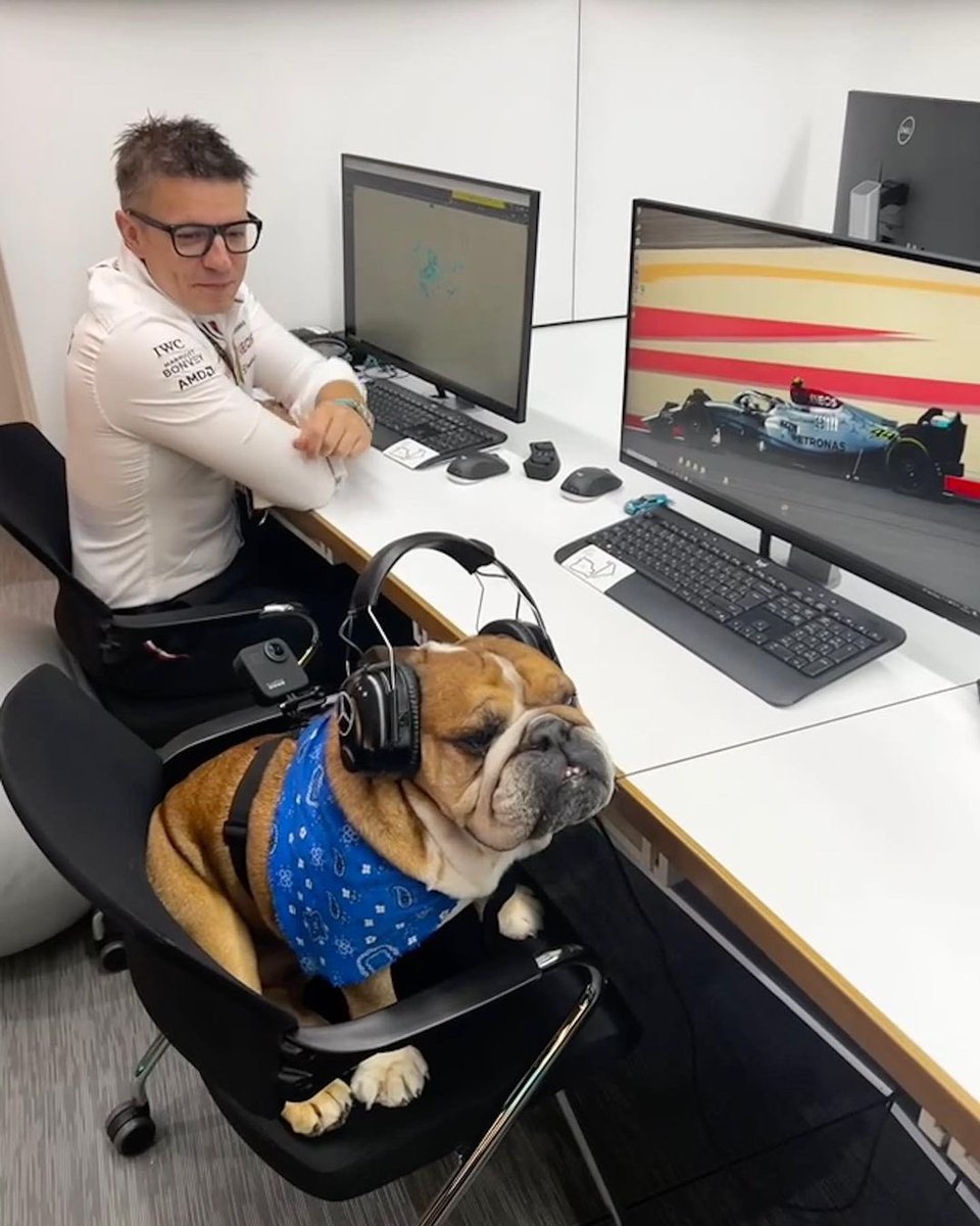 FiftyBucksVT's tweet photo. Announce your new strategist, @MercedesAMGF1. https://t.co/XQQttp4lMB