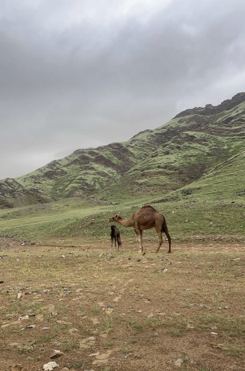 هذي مكه ولا باريس؟❤️