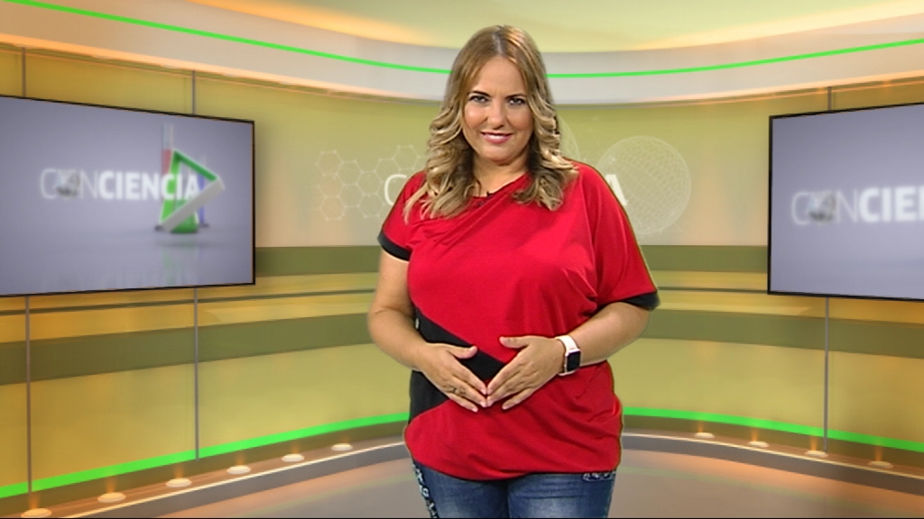 ConcienciaRTVA's tweet photo. Este domingo entre los tiburones y demás fauna del  #Biodomo del @ParqueCiencias
hablamos con el zoólogo @MarcosMoleon1
 sobre el miedo que nos tienen los animales del planeta
También abordamos en un reportaje la ética detrás de los algoritmos en #InteligenciaArtificial @canalsur https://t.co/Jzaqqion1C