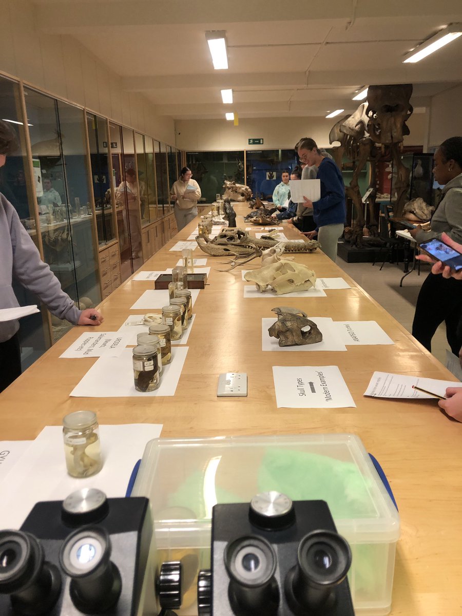 Dr Jacinta Kong (@jacintakong) on Twitter photo Today is my last day at <a href="/TCDZoology/">Zoology, Trinity College Dublin</a> :( I had a great time engaging students with the <a href="/TCDZooMuseum/">TCD Zoology Museum</a> and working on big questions Today is my last day at <a href="/TCDZoology/">Zoology, Trinity College Dublin</a> :( I had a great time engaging students with the <a href="/TCDZooMuseum/">TCD Zoology Museum</a> and working on big questions