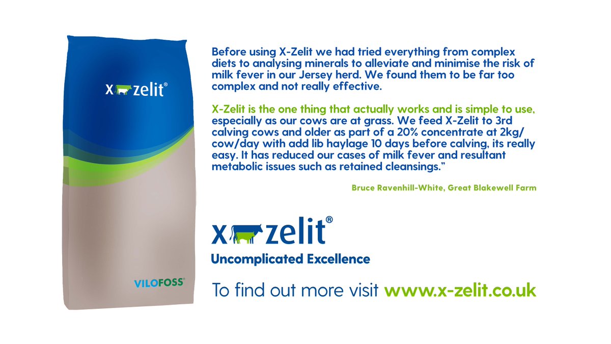 Read some more of our farmer testimonials here:-
x-zelit.co.uk/what-the-resea…
 #drycows #uncomplicatedexcellence  #X_Zelit