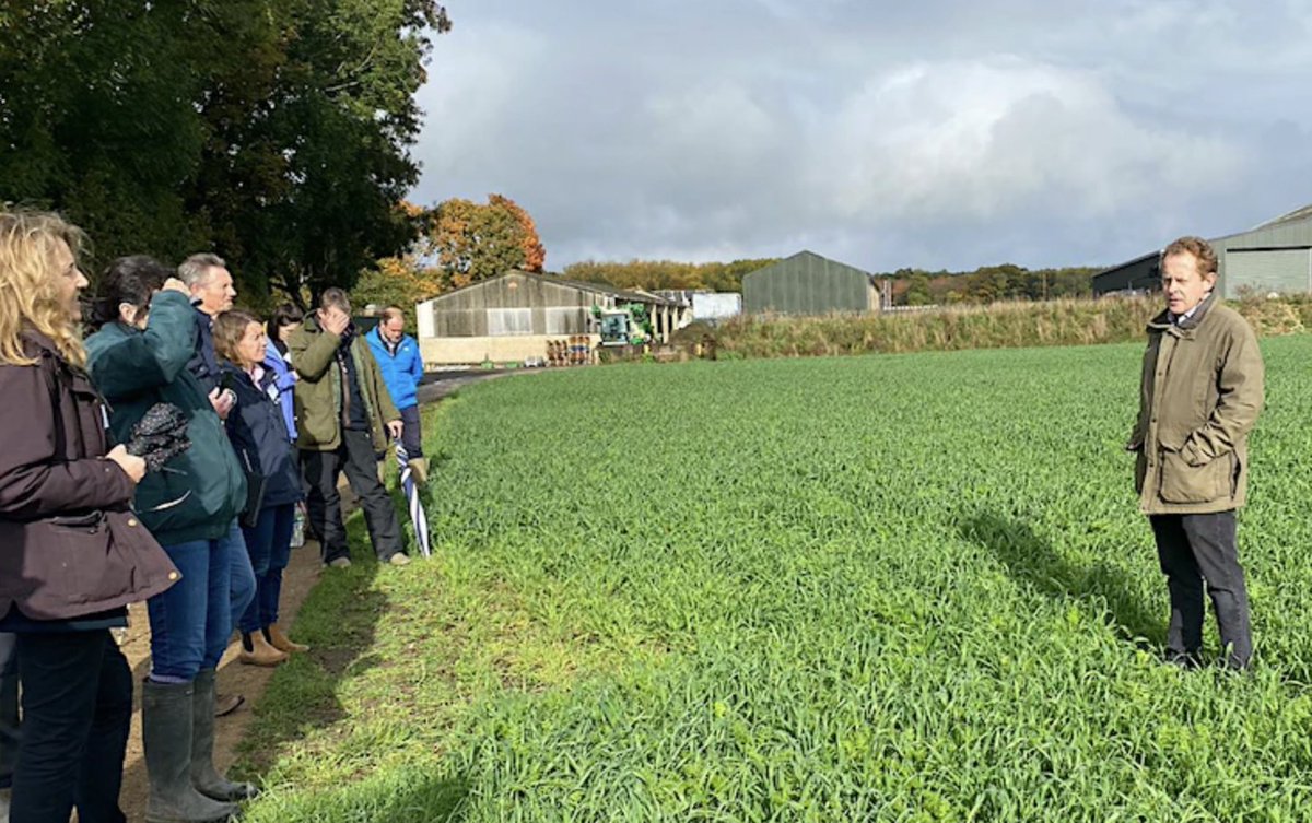 Innovation for Agriculture tweet media