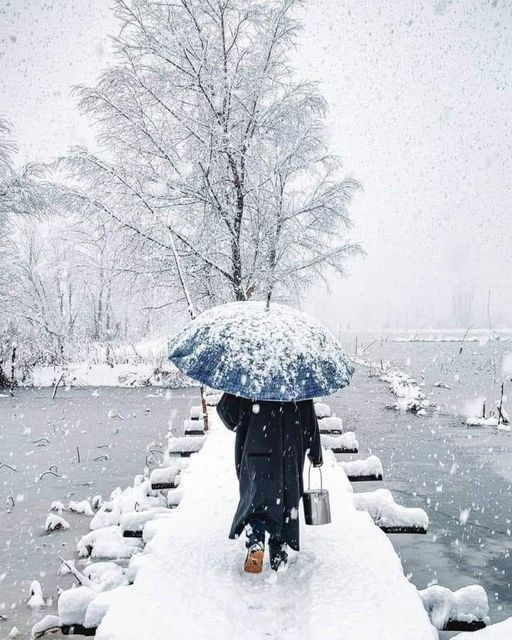 Snow Path

Walk along the roads covered with Snow with the fresh and frosty breeze as well as enjoy the Nature at its best. #snowinkashmir #kashmirlife #kashmirculture
#snowday #snowfall #srinagardiaries
#Srinagar #snowfall