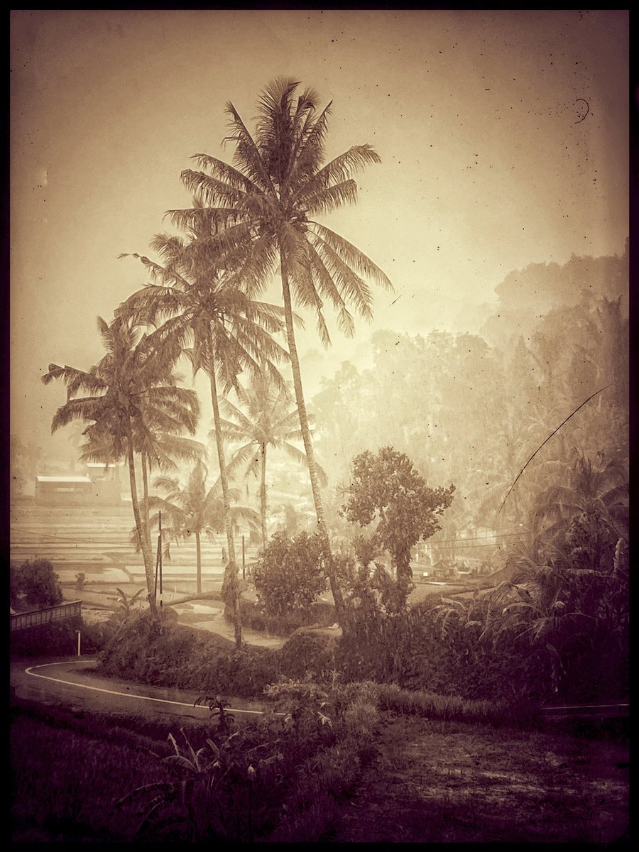 Bali