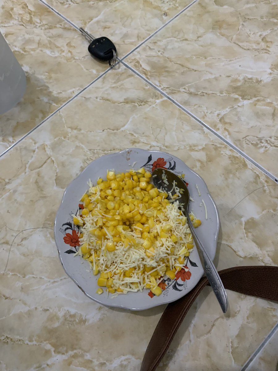 tipis2