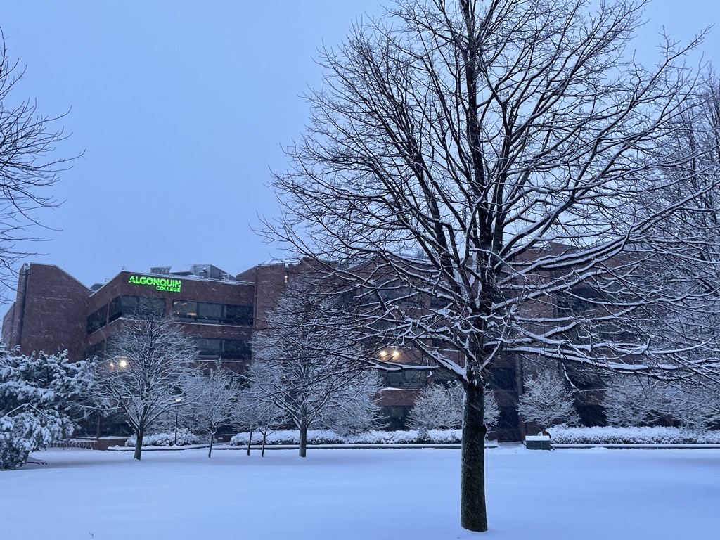 It's a little snowy here <a href="/AlgonquinColleg/">Algonquin College</a> today! I chatted with a student on the walk-in from the parking lot and loved his positivity. He wasn't talking about "the commute", he was just excited that the snow was good for skidooing this weekend...Love it.