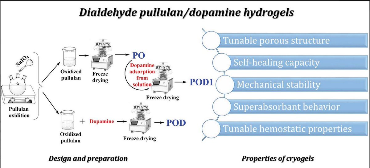 Gels_MDPI's tweet image. 🎉One of the Editor's Choices 2022:

📚"Hemostatic #Cryogels Based on Oxidized #Pullulan/#Dopamine with Potential Use as #Wound Dressings"

👏An interesting article by Dr. Raluca Ioana Baron et al. 

📌Full article here:
mdpi.com/2310-2861/8/11…
 
#gels #Schiffbase #selfhealing