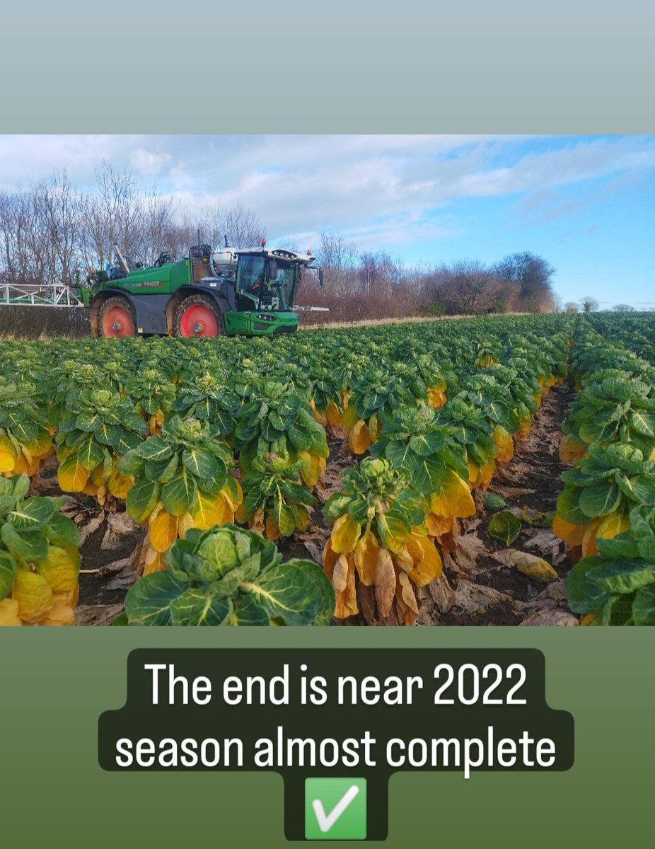 2022growing season .... Almost completed it mate