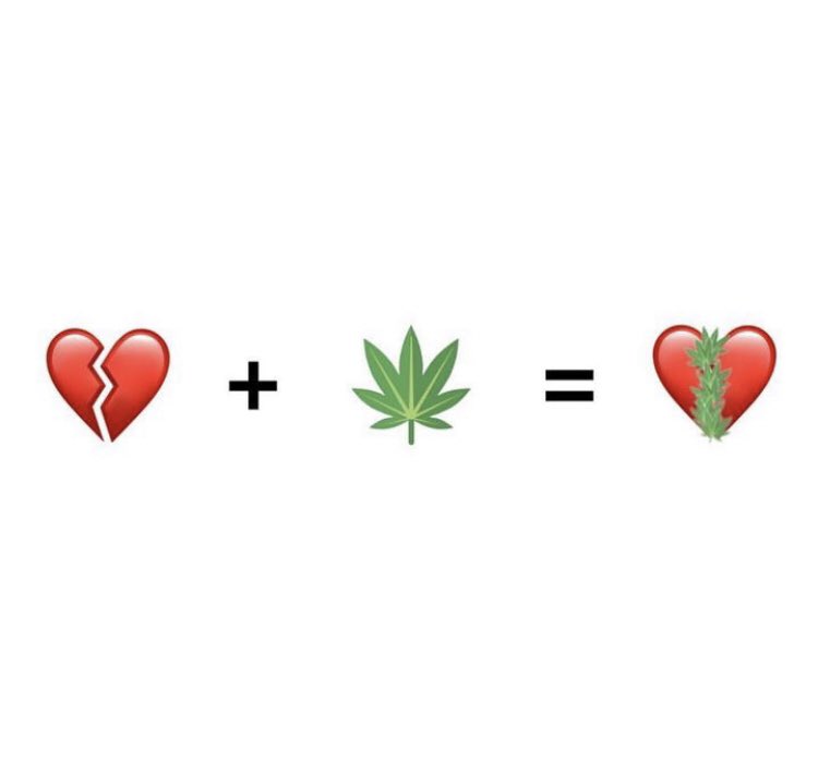 Buen viernes 💚🌿