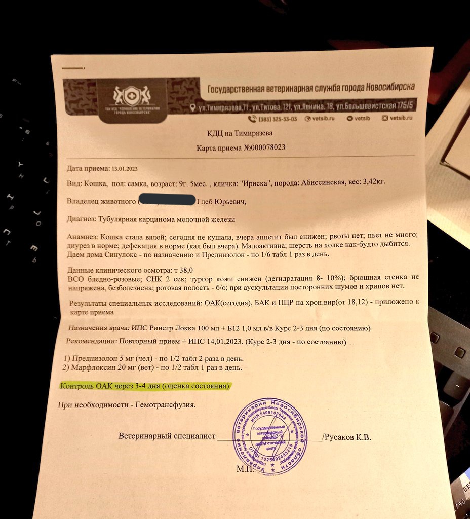 стрᴀнныᴇ кᴀᴘтины tweet media