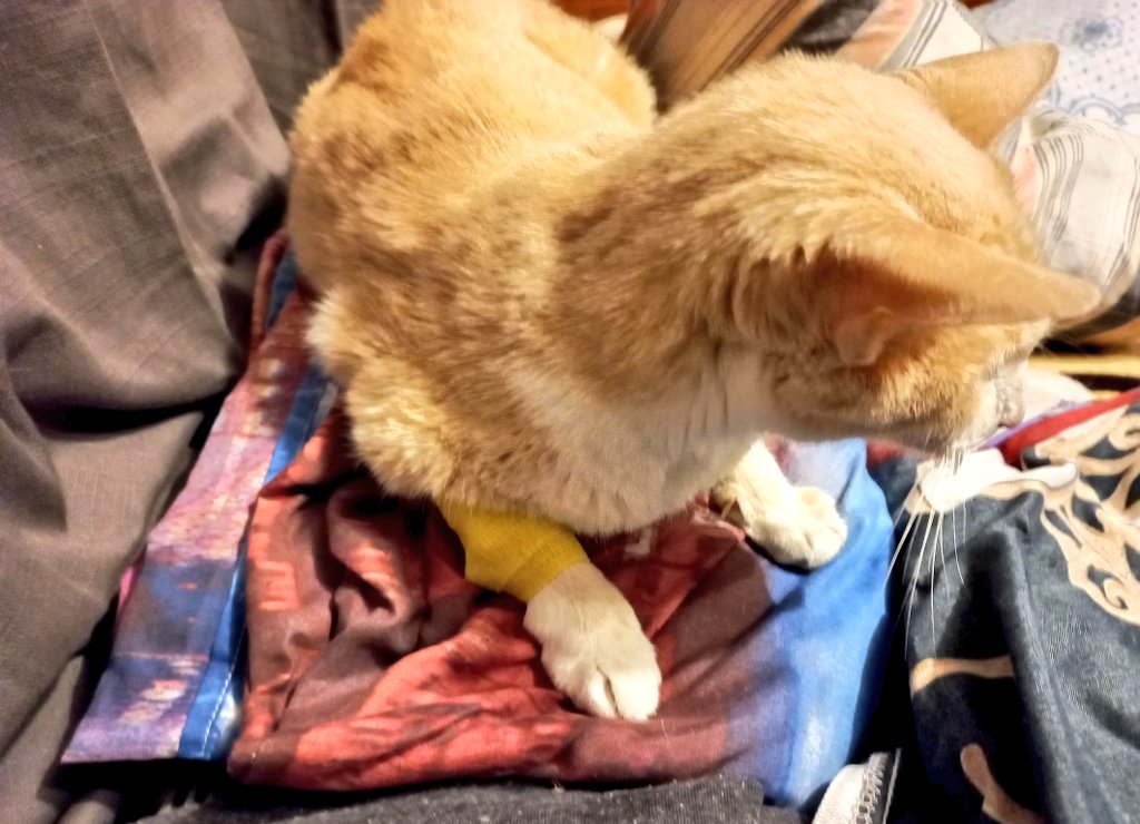 стрᴀнныᴇ кᴀᴘтины tweet media