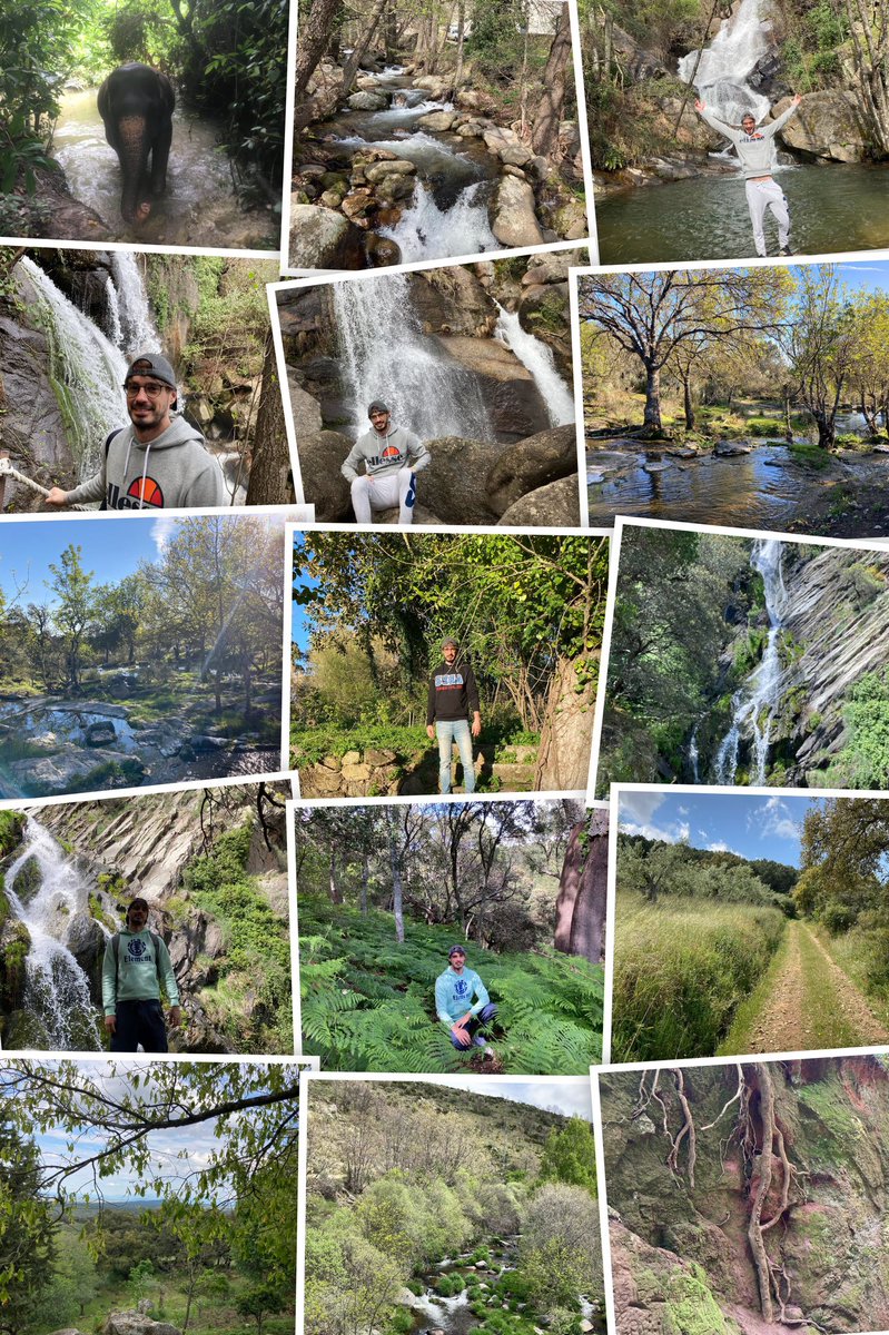 DavidGlezWell's tweet image. Campito selection del google fotos #waitingForSpring