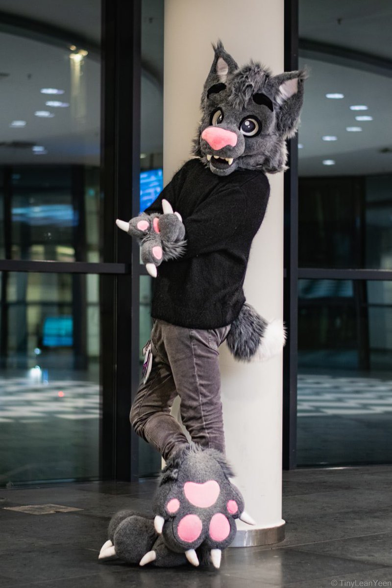 Pspspsps~

Now that I caught your attention, care for some ✨BEANS✨? Top-tier stompers, only the best quality for you dear friend! 😘🐾

This photo  for today’s #FursuitFriday is by @TinyLeanYeen at #Eurofurence26, five stars for the amazing shot~
🌟⭐️🌟⭐️🌟