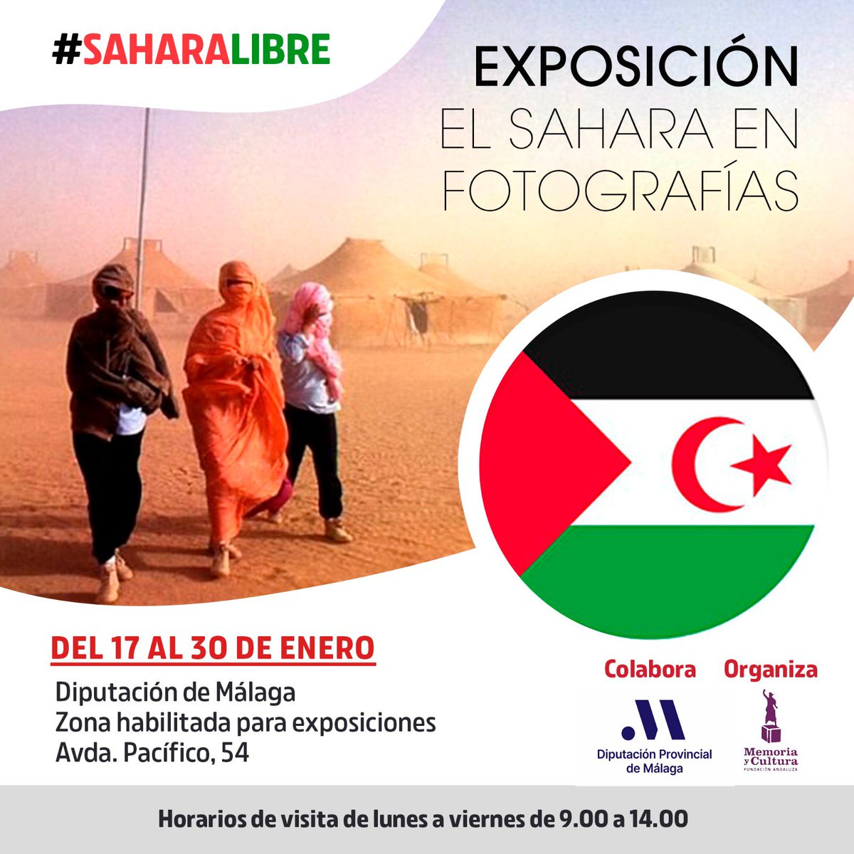 🇪🇭 Desde el 17 al 30 de enero podrás visitar la Exposición «El Sahara en Fotografías» que nuestra Fundación expone en la Diputación de Málaga.

🗓 17 al 30 de enero
⏰ De 09.00 a 14.00
🚩 Avda. Pacífico, 54 (Diputación de #Málaga)

#SaharaLibre
