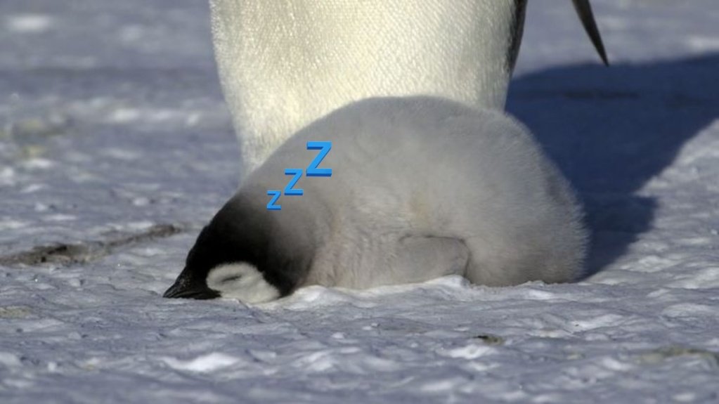 Sines_Penguin's tweet photo. @Miraexxq__ . . .ถึงหน้าตาจะคล้าย ๆ แต่ . .คงไม่ใช่

    ❝ . .อืม - ห หา— ววว 💤 ❞

     ยืนก้มหน้าสัปหงกอย่างง่วงงุน ก่อนจะค่อย ๆ จางหายไปจนเหมือนกับรวมเป็นหนึ่งกับสภาพแวดล้อม https://t.co/vijLYo5In6