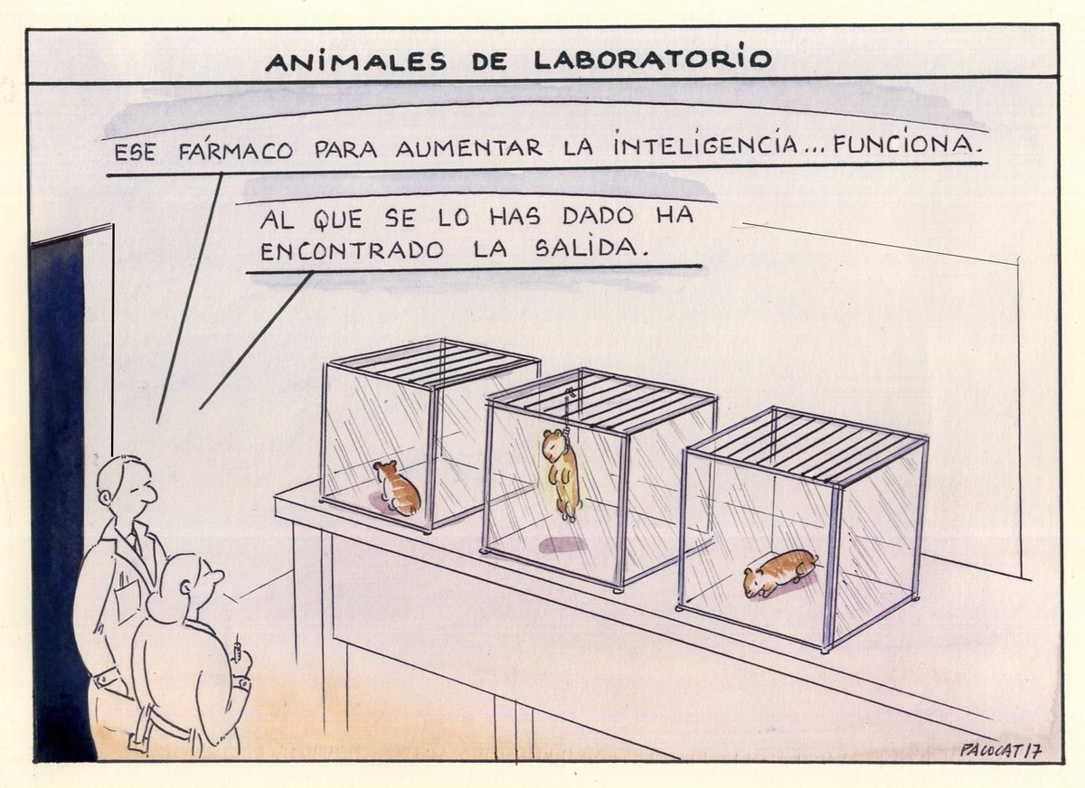El infierno para los más inocentes.