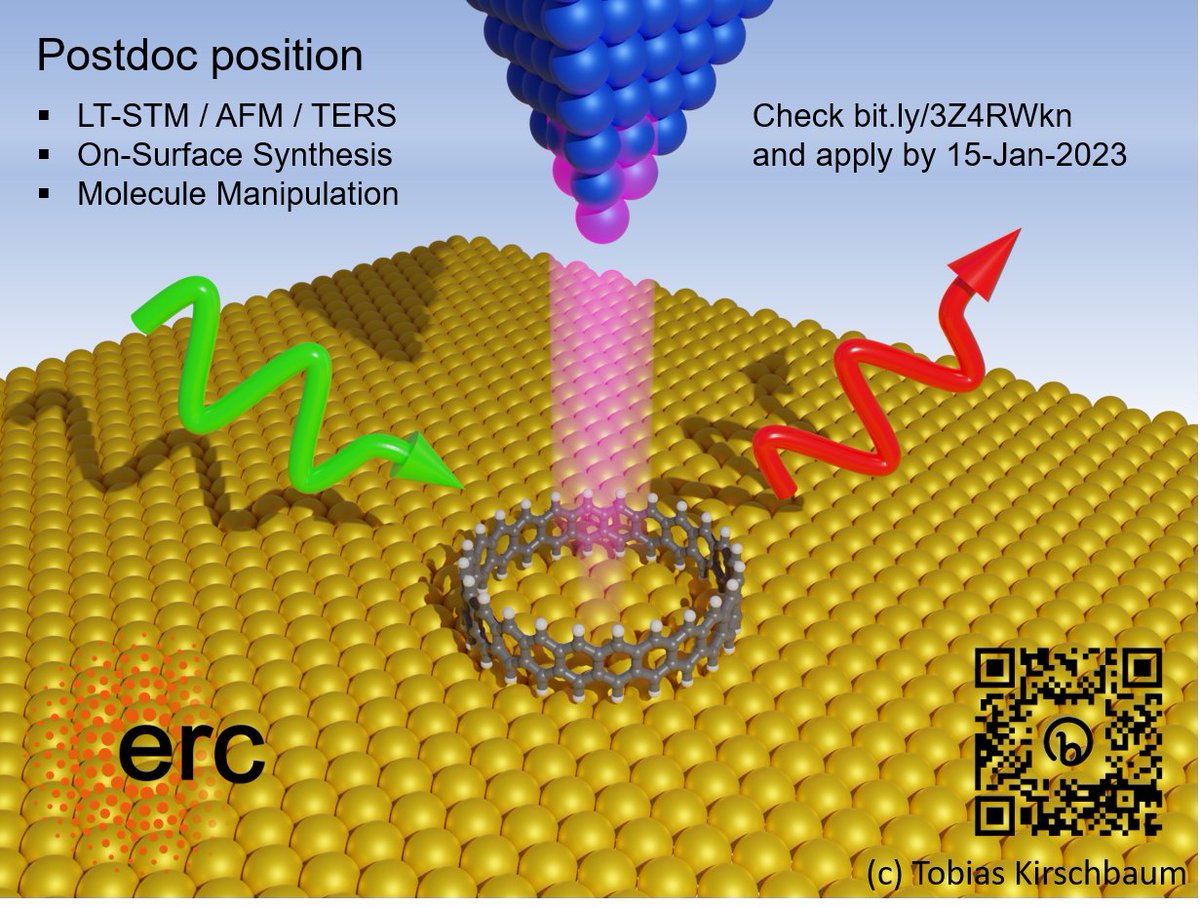 Postdoc position: Join us at @Uni_MR for new ERC Synergy Grant project TACY. On-surface synthesis, single-molecule manipulation, and low-T scanning probe methods, including LT-TERS. @ERC_Research @ResearchGermany #PhysPostdoc #ChemPostdoc. 👉bit.ly/3Z4RWkn. Please RT