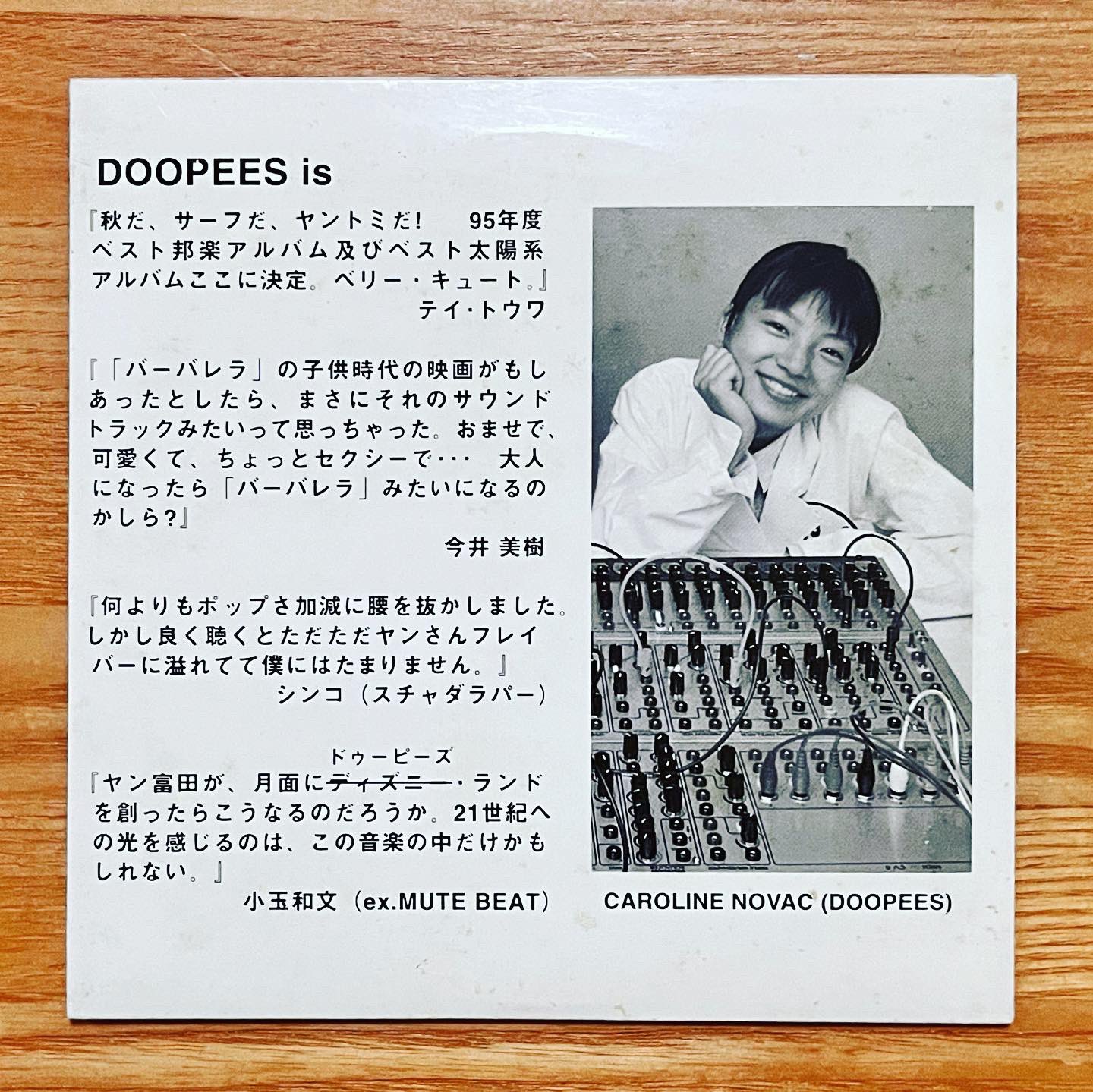 THE RONETTES How Does Feel？ ヤン富田 DOOPIES
