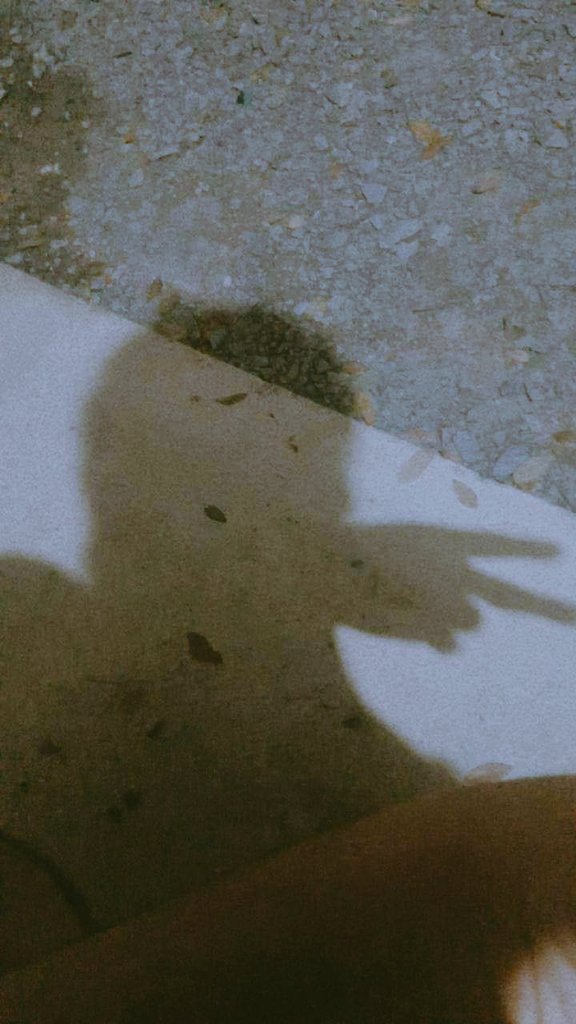 𝓦𝓲𝓷𝓽𝓮𝓻 ไม่อยู่นะ tweet media