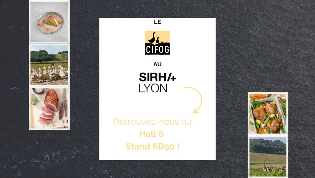 Filiere Foie Gras (@filierefoiegras) on Twitter photo 📆 Le CIFOG participe au #SIRHA à Lyon du 19 au 23/01 ! Les représentants de la filière #FoieGras donnent rendez-vous aux professionnels sur leur 𝐬𝐭𝐚𝐧𝐝 𝟔𝐃𝟗𝟎 📌 pour leur faire (re)découvrir ce mets emblématique de la gastronomie française <a href="/eurexpo/">Eurexpo Lyon</a> <a href="/SirhaFood/">Sirha Food</a> 📆 Le CIFOG participe au #SIRHA à Lyon du 19 au 23/01 ! Les représentants de la filière #FoieGras donnent rendez-vous aux professionnels sur leur 𝐬𝐭𝐚𝐧𝐝 𝟔𝐃𝟗𝟎 📌 pour leur faire (re)découvrir ce mets emblématique de la gastronomie française <a href="/eurexpo/">Eurexpo Lyon</a> <a href="/SirhaFood/">Sirha Food</a>