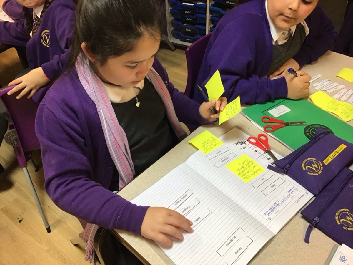 WhitefieldPS's tweet image. In Science, we learned how our teeth and mouth help with digestion. We talked about the process and sequenced labels to explain the process. What can you tell me about the job of our teeth and mouth in the digestion process? 🦷👄 #wpsscience #cusp