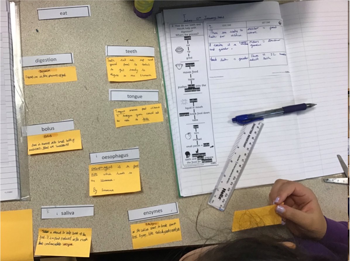 WhitefieldPS's tweet image. In Science, we learned how our teeth and mouth help with digestion. We talked about the process and sequenced labels to explain the process. What can you tell me about the job of our teeth and mouth in the digestion process? 🦷👄 #wpsscience #cusp