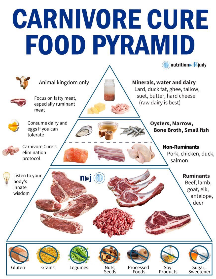Dorunda's tweet image. From Ken D Berry MD @KenDBerryMD

Thousands are recovering their health with this #FoodPyramid that they had lost by following the old pyramid. Have you tried it yet?  #allmeatdiet