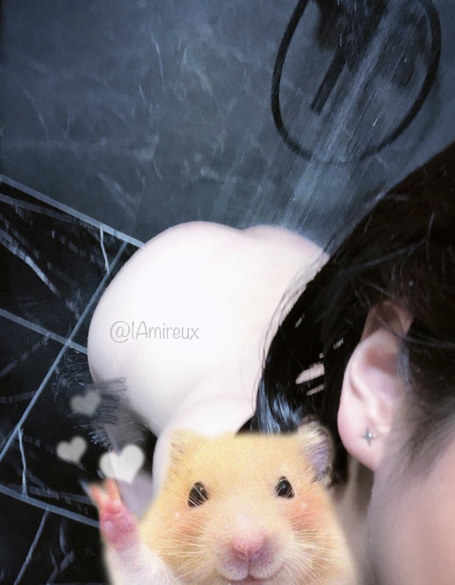 鼠鼠我呀想和你一起洗澡澡～🥰 https://t.co/OcxF263Oi6