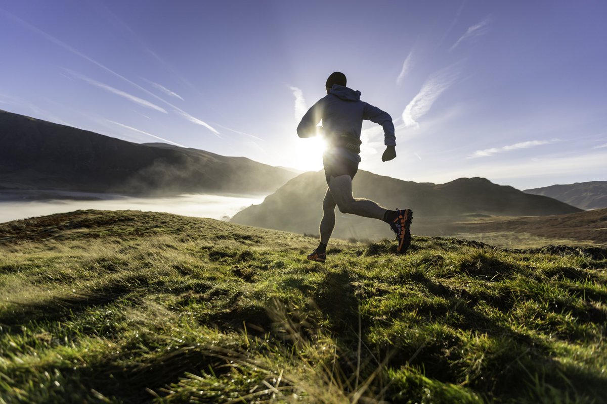 Dave MacFarlane tweet media