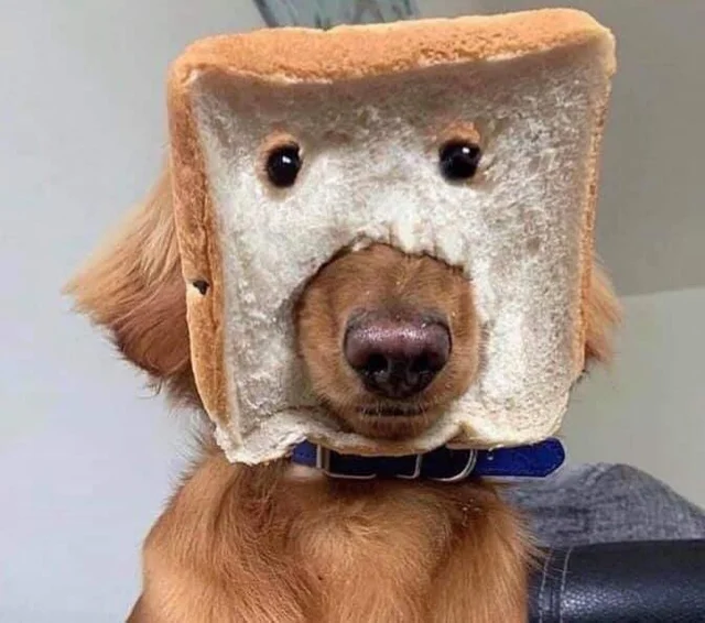 WholesomeMemes tweet media