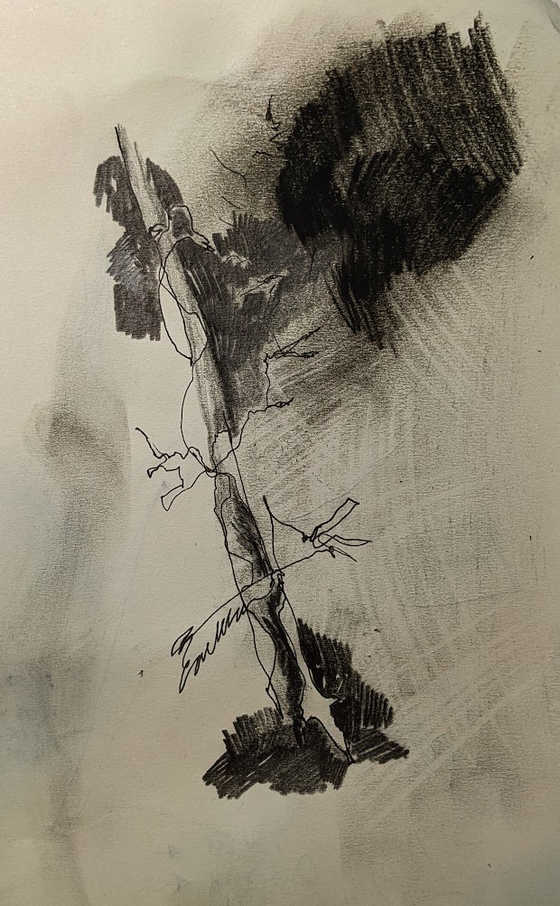 Remnants of last night's work with <a href="/CapilanoU/">Capilano University</a> students as we took on blind contour #sketching, shading and erasing, beginning with wanting to capture an object but moving into a co-composing of an event