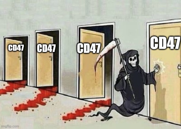 #CD47