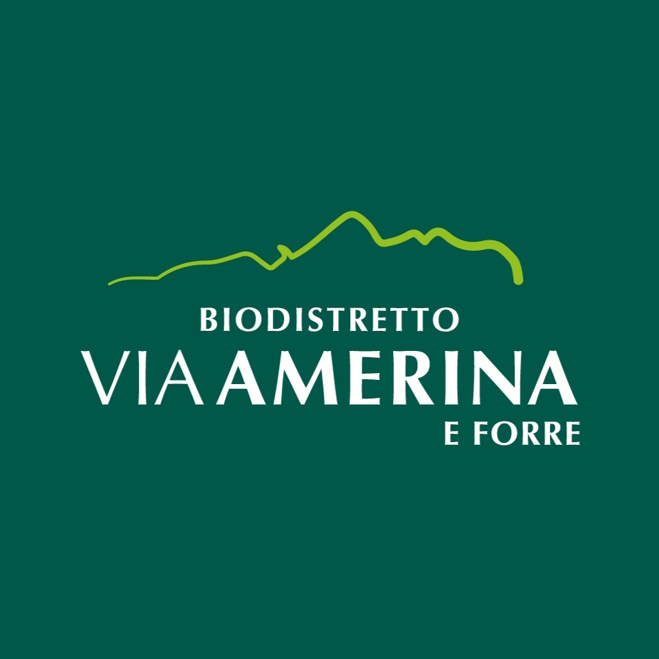 Bio-distretto della Via Amerina e delle Forre tweet media