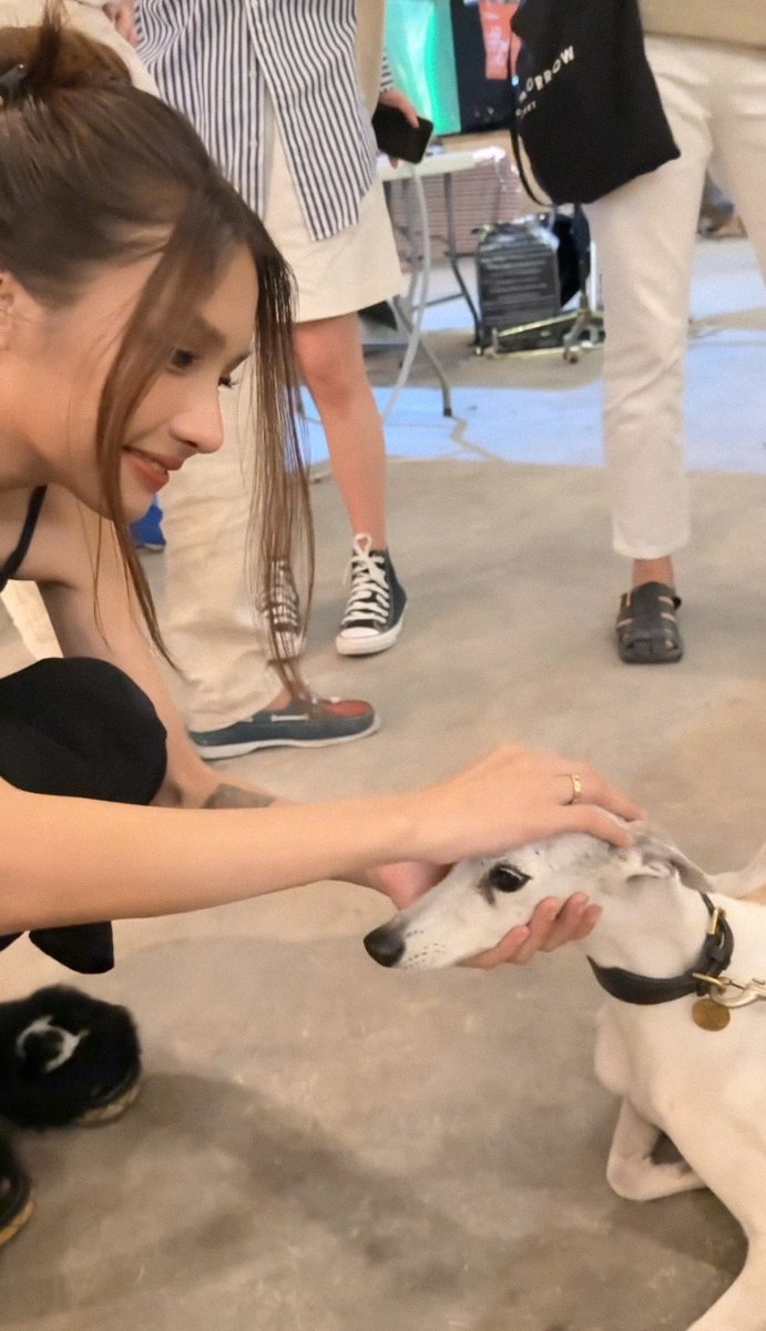 ซอรินบ้บ้ tweet media