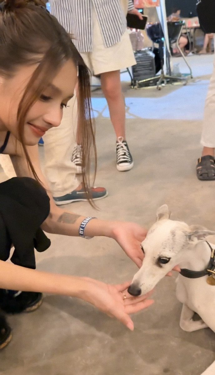 ซอรินบ้บ้ tweet media