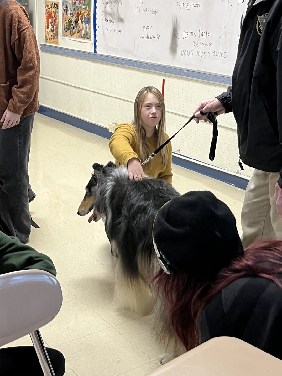 Briggs_Colls's tweet photo. We were lucky enough to have 'les chiens' visit during period 6 to brighten everyone's day! Merci! Mrs. Gizzo! @Colls_HS https://t.co/MDrP79e9QB