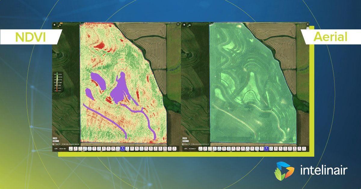 Unexpected yield results last year? Leverage AGMRI to review past performance and prepare for the 2023 growing season. Use the AGMRI app and its multiple layers of imaging like NDVI and Aerial to assess if any areas correlate with low, or high production areas of a field.