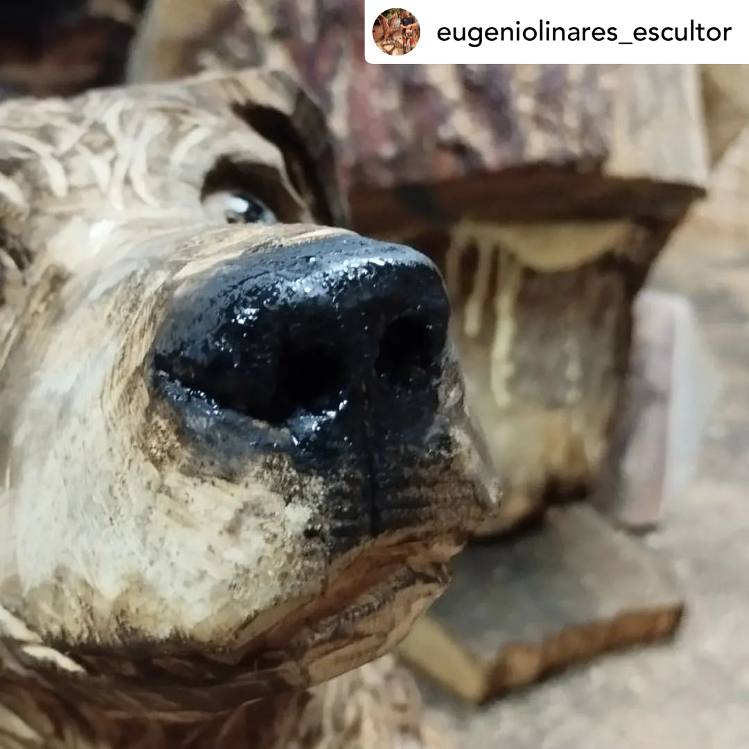 ECHOmaquinaria's tweet photo. ¿Te apetece tener una talla de madera en tamaño real de tu perro? 😍
#ECHO #DependOnIt #ECHOtools #Motosierra #EsculturaConMotosierra

👉 via @eugeniolinares_escultor https://t.co/3ilzvPhDa4