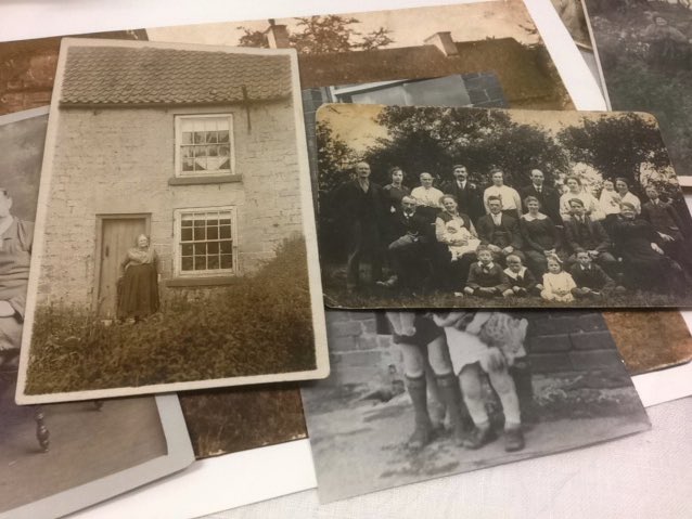 Photo Collections tweet media