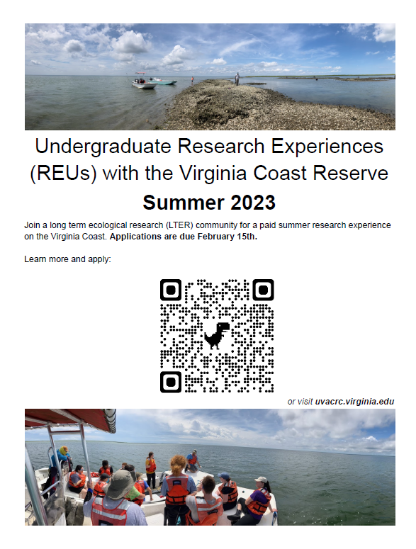 WildCora's tweet photo. Applications are now open for paid summer research experiences on the Virginia Coast. 
Spend a summer with a long term ecological research community.
Details and to apply: https://t.co/AiyEv2U1Nx
#nsfREU @vcrlter @USLTER https://t.co/Bx39MBLbv4