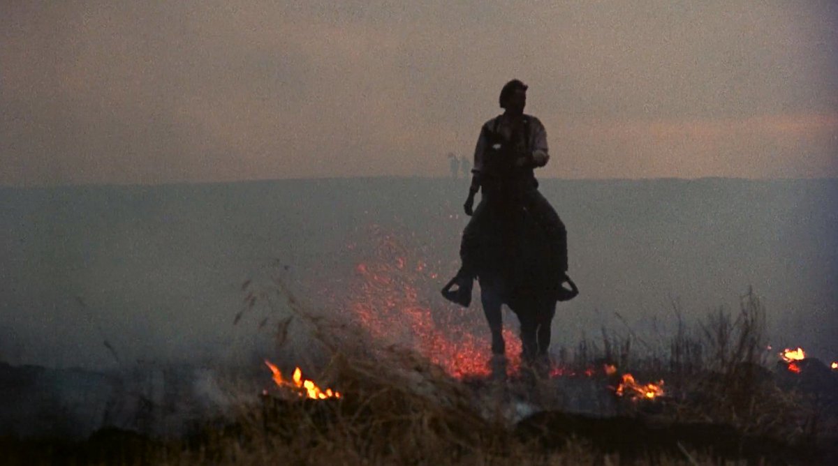'Days of Heaven' (1978)

Directed by Terrence Malick