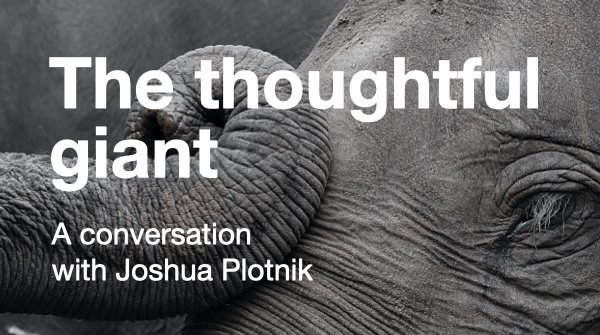 Many Minds podcast tweet media