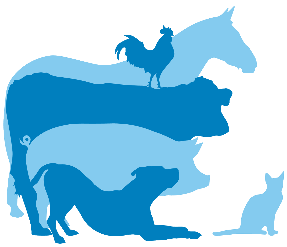 Our new logo was carefully curated to best represent the #Canadian animal health industry. If you look closely you will see the dog is down in a play bow stance, highlighting the collaborative &amp; fun nature of the great people who make up this industry 🇨🇦🐶bit.ly/3H4x59M