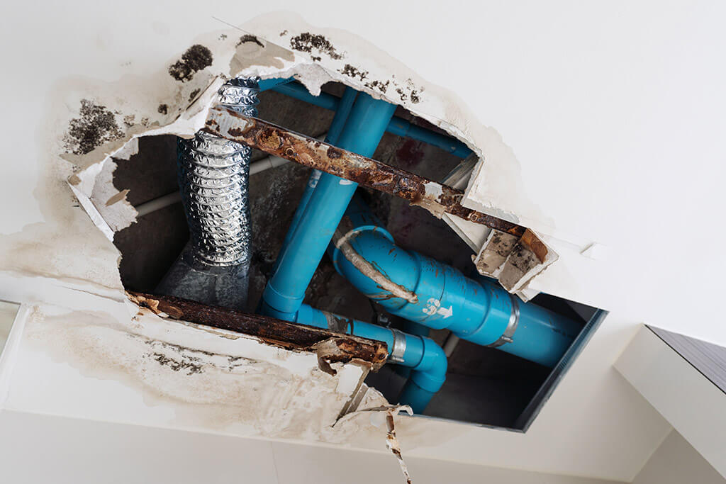 #CaseStudy
Problem
A unit in a senior living community was impacted by a plumbing leak from the unit above. The leak went unaddressed for an extended period of time...

Read full case study here: bit.ly/3xhsxX9
Contact us: bit.ly/3DnqNxT

<a href="/IAQnerd/">Ian Cull</a>