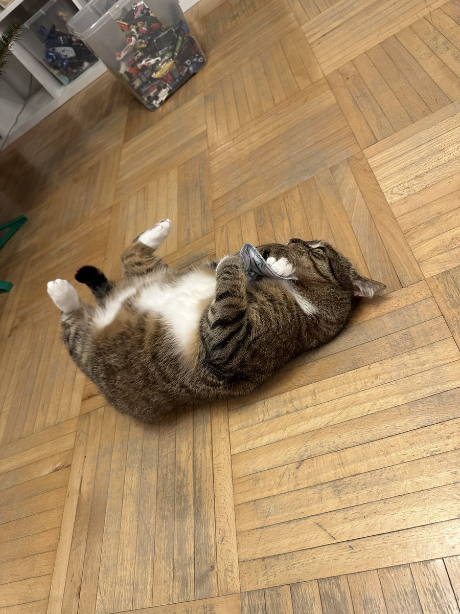 olyapka's tweet image. Барсик и подушечка с валерьянкой