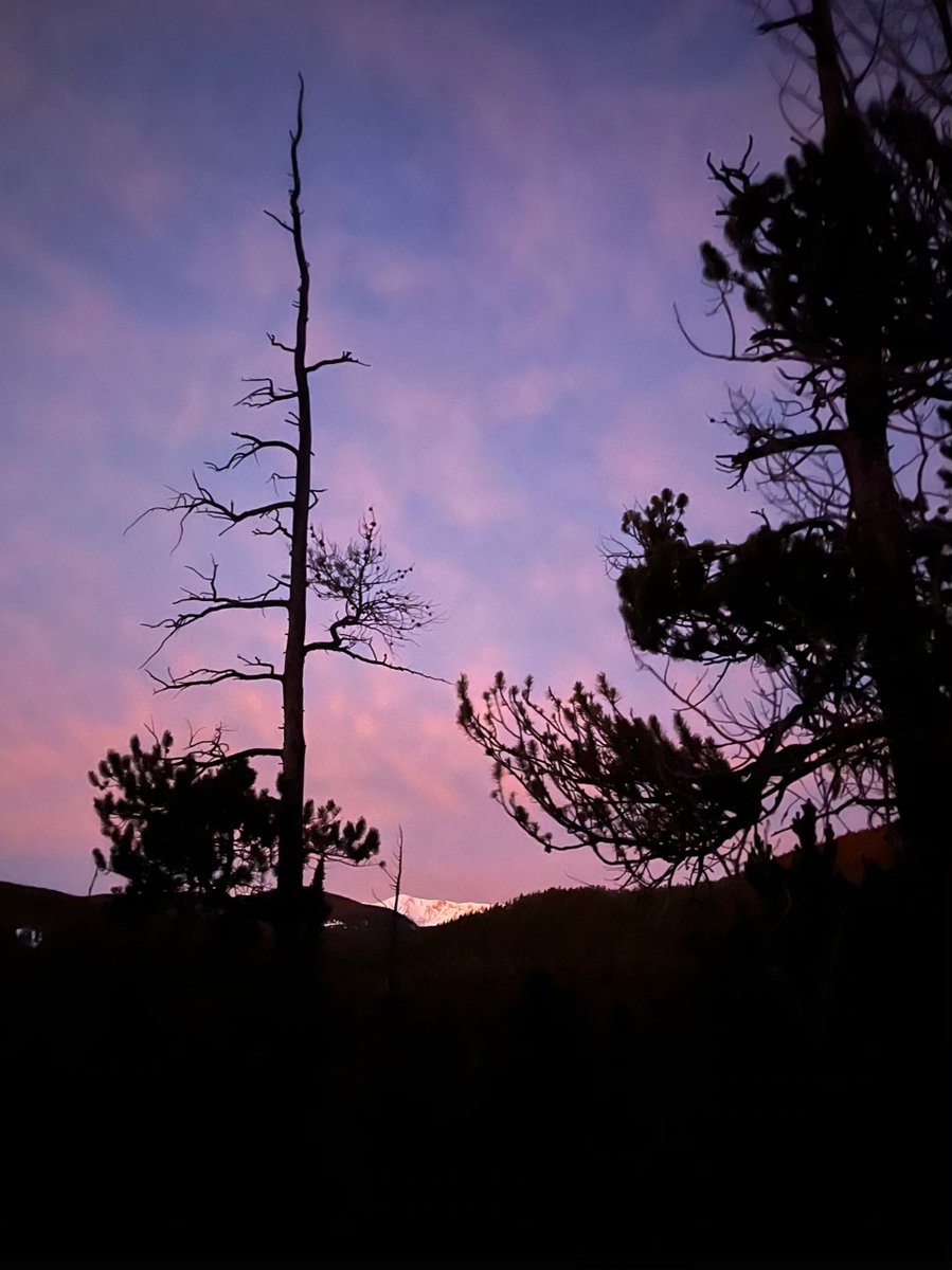 Happy Friday, Eldora Nords! Here's some eye candy from trail check this morning, plus a pro tip: All bets are on we'll be crazy busy this weekend. For a low-stress holiday, be here before we open OR come after 12:30. Ski ya out there!