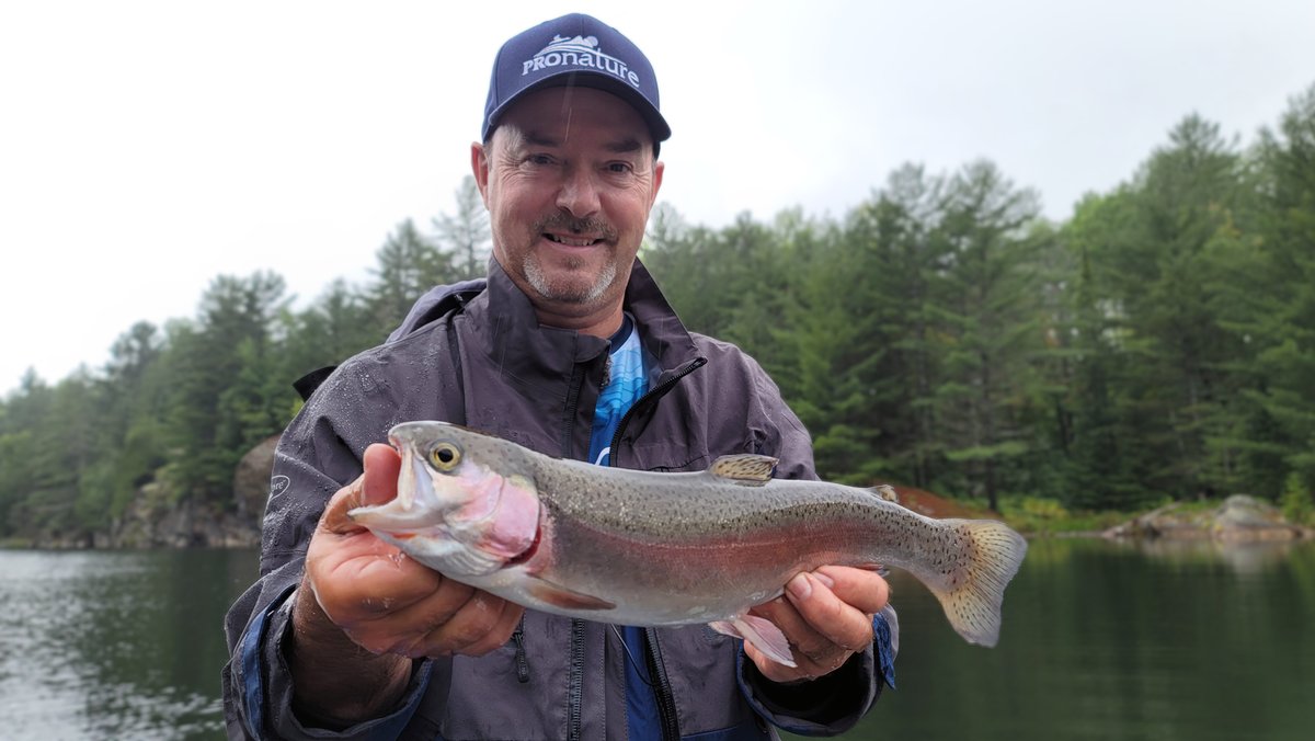 TéléMag tweet media