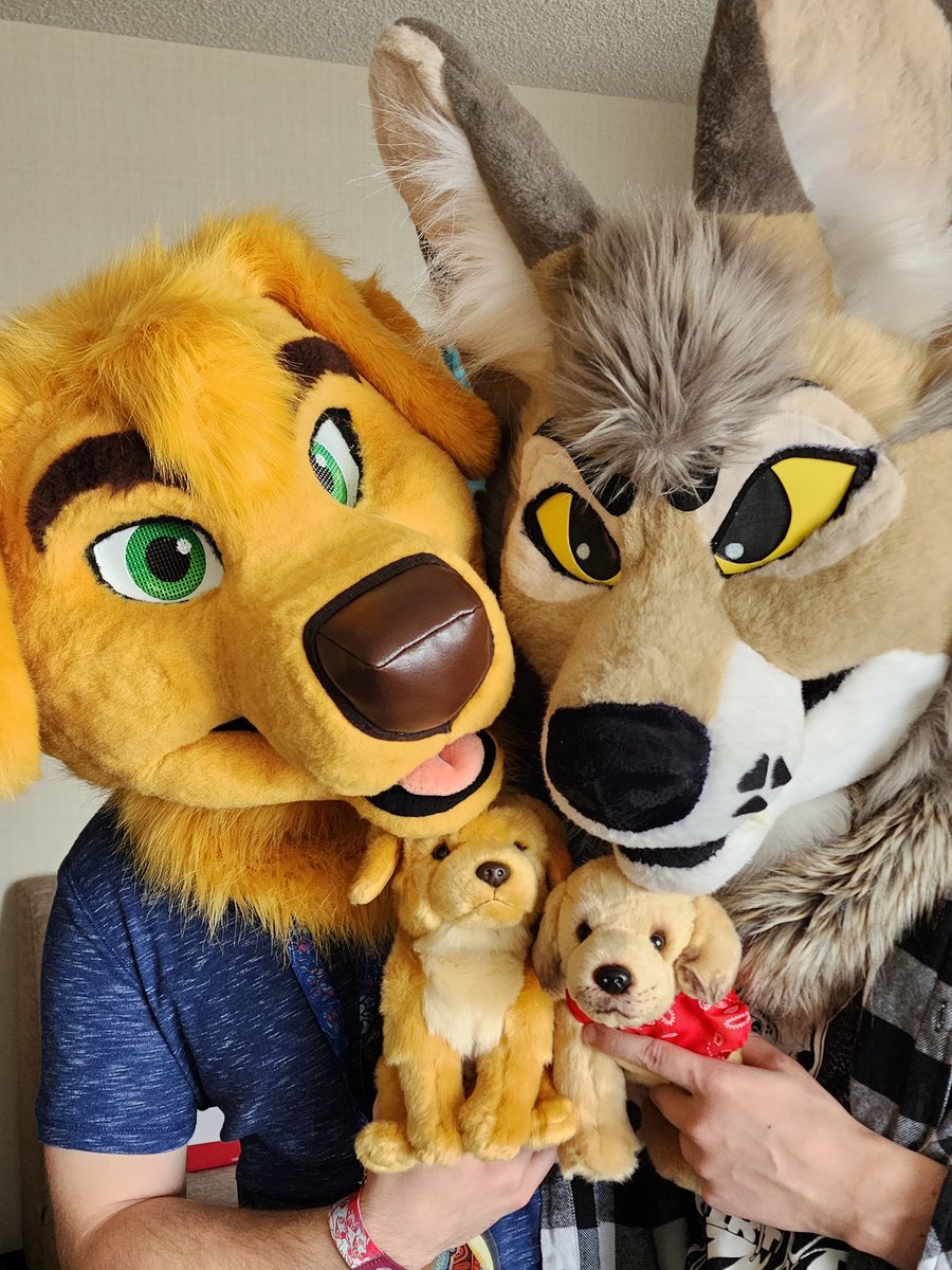 Goldy puppies!!!
#FursuitFriday #FurtherConfusion