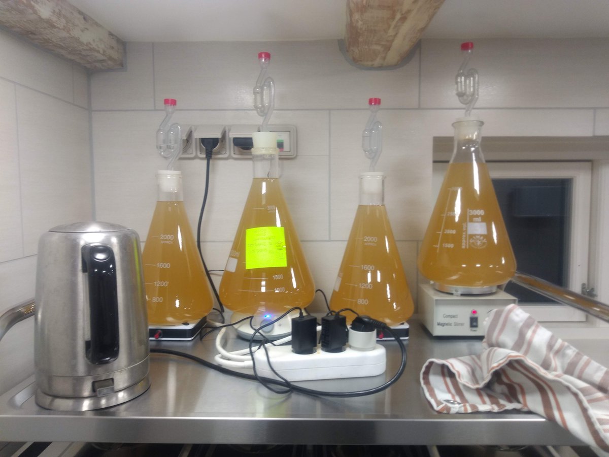 KeldlingBrew's tweet photo. SCALING UP!
So everyday I am scaling cloud nodes, but this week it is about scaling up beer brewing... here is my yeast starter... first time taking on the Voss yeast! https://t.co/QkT1x2abyB
